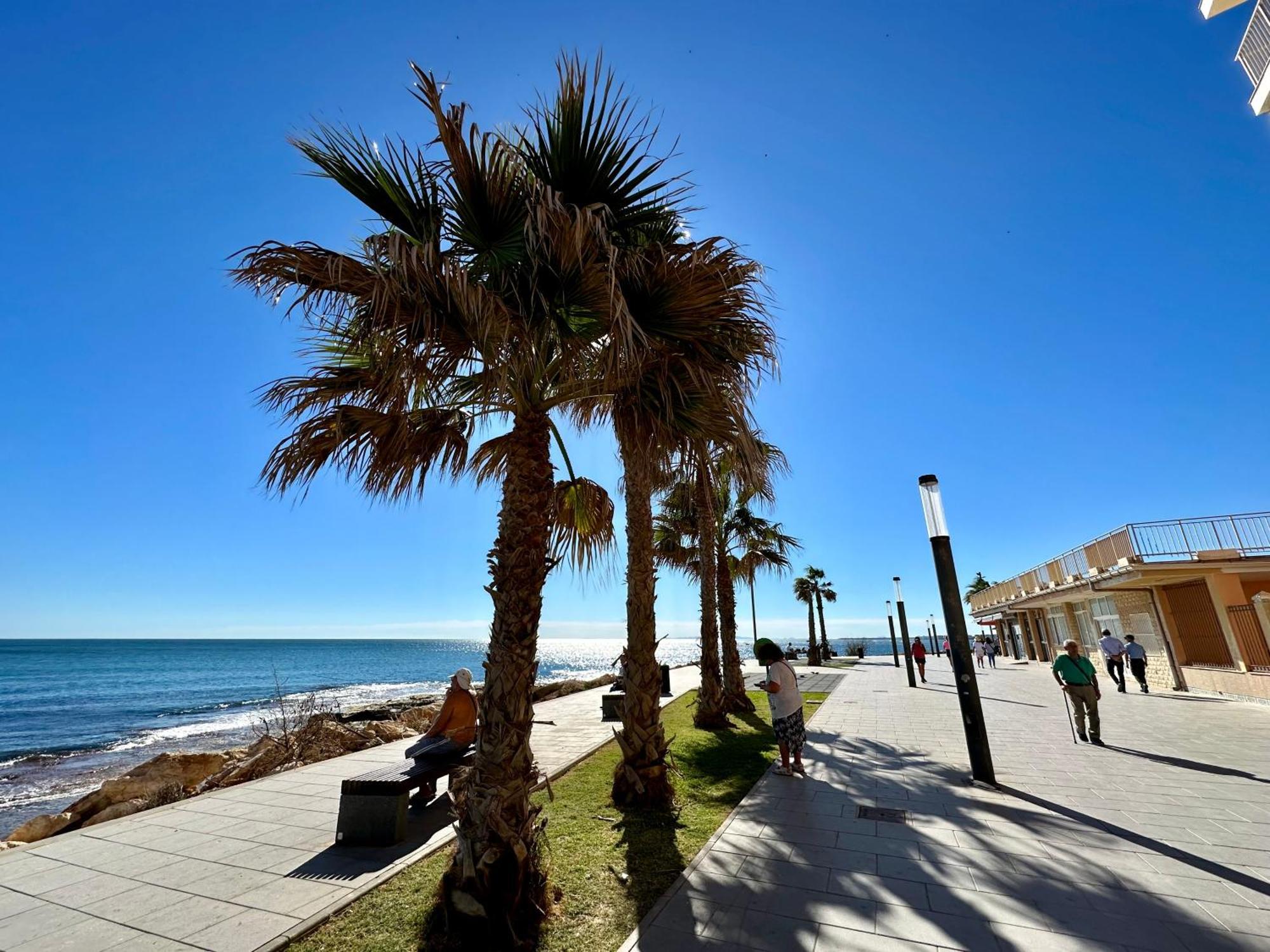 Modern Apartment On Playa Del Cura Torrevieja Dış mekan fotoğraf